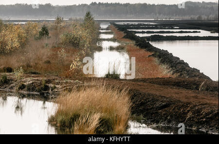 Quickborn, Allemagne. 19 octobre 2017. La zone de tourbe de Quickborn, Allemagne, 19 octobre 2017. La production de tourbe dans la région devrait prendre fin avant 2020. Crédit : Markus Scholz/dpa/Alamy Live News Banque D'Images