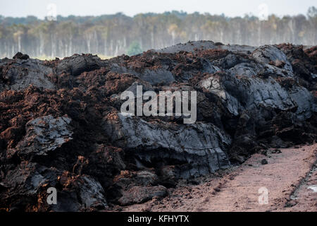 Quickborn, Allemagne. 19 octobre 2017. La zone de tourbe de Quickborn, Allemagne, 19 octobre 2017. La production de tourbe dans la région devrait prendre fin avant 2020. Crédit : Markus Scholz/dpa/Alamy Live News Banque D'Images