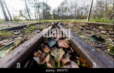 Quickborn, Allemagne. 19 octobre 2017. La zone de tourbe de Quickborn, Allemagne, 19 octobre 2017. La production de tourbe dans la région devrait prendre fin avant 2020. Crédit : Markus Scholz/dpa/Alamy Live News Banque D'Images