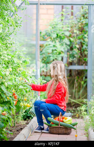 Cute little girl recueille des tomates et concombres de cultures en serre Banque D'Images