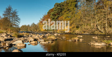 Paysage de Teesdale, couleurs d'automne sur la Rivière Tees entre faible vigueur et force élevée des chutes d'octobre 2017 Banque D'Images