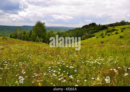 Paysage d'été avec les prés fleuris de rose, blanc, bleu et jaune fleurs, plantes médicinales et plantes mellifères sur fond de collines Banque D'Images
