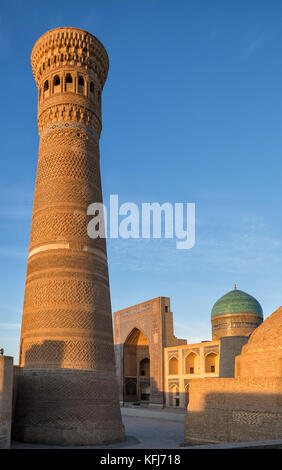 Minaret kalyan et miri arab madrasah au coucher du soleil. Boukhara, Ouzbékistan Banque D'Images