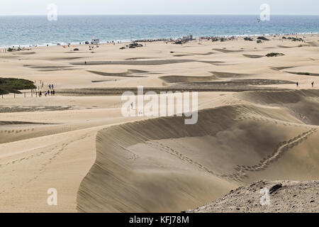 Vue sur vastity de Dunas de Maspalomas à Gran Canaria island, avec ses dunes de sable doré avec des formes uniques Banque D'Images