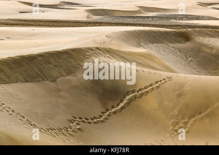 Vue sur vastity de Dunas de Maspalomas à Gran Canaria island, avec ses dunes de sable doré avec des formes uniques Banque D'Images