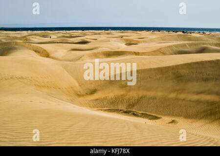 Vue sur vastity de Dunas de Maspalomas à Gran Canaria island, avec ses dunes de sable doré avec des formes uniques Banque D'Images