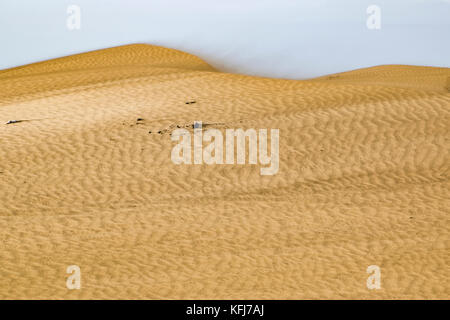 Vue sur vastity de Dunas de Maspalomas à Gran Canaria island, avec ses dunes de sable doré avec des formes uniques Banque D'Images