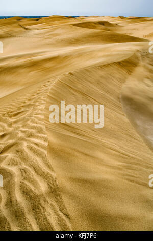 Vue sur vastity de Dunas de Maspalomas à Gran Canaria island, avec ses dunes de sable doré avec des formes uniques Banque D'Images