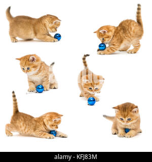 Chatons jouant avec un jouet de noël, isolé sur blanc, collage Banque D'Images