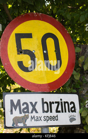 Signe de la limite de vitesse (vitesse max 50 max) brzina au sanctuaire de l'ours kuterevo, Lika, Croatie Banque D'Images