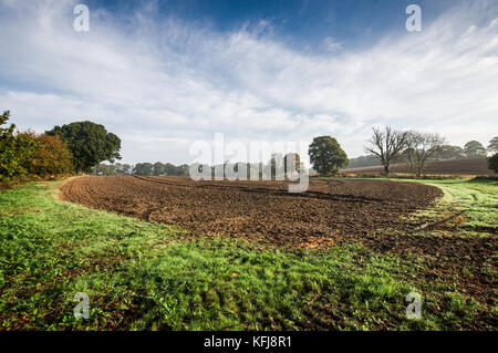 De longues ombres sur un terrain ensoleillé par un beau matin d'automne - West Sussex Banque D'Images