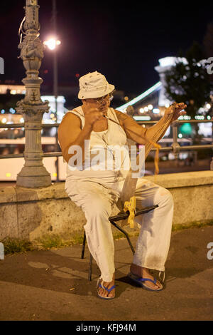 Artiste de rue, un homme âgé, la lecture d'une scie musicale avec un arc, une Széchanyi Lánchid pont en arrière-plan ; la nuit Banque D'Images