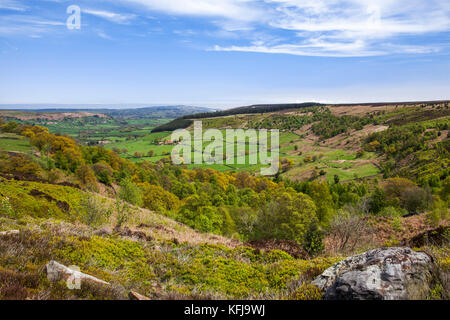 De Moor of glaisdale traverse North York Moors national park North Yorkshire Banque D'Images