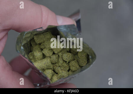 Un paquet de granulés de houblon utilisé dans home brassage de la bière pour ajouter de la saveur et du bouquet et comme agent de conservation. Banque D'Images