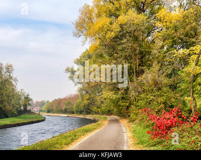 Piste cyclable le long du Naviglio Grande à partir de abbiategrasso à turbigo (Lombardie, Italie), près de Lesmo, à l'automne Banque D'Images