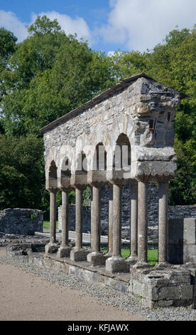 Ruines à Mellifont Banque D'Images