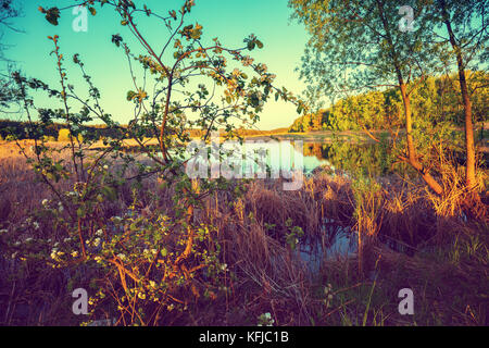 Paysage sauvage avec une rivière calme Banque D'Images