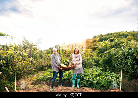 Senior couple jardinage dans le jardin. Banque D'Images