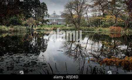 Réflexions d'automne dans le lac, dans le jardin botanique de Copenhague Banque D'Images