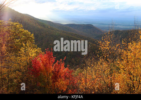 Un paysage de montagne avec des arbres à l'automne. une vue dans la soirée de Skyline Drive dans le parc national Shenandoah, en Virginie. Banque D'Images