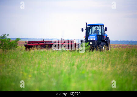 Le tracteur avec la faucheuse dans le domaine de la luzerne et du sainfoin Banque D'Images