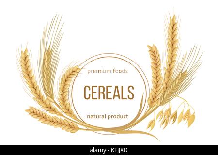 Blé, orge, avoine et seigle. quatre céréales épillets à oreilles, texte de la Gerbe Agitée et aliments de qualité supérieure, produit naturel Illustration de Vecteur