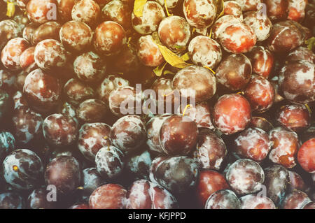 Belle et délicieux abricots secs prune chinoise pour toile de fond, ou le papier peint. prune mûre. Le comptoir du magasin. Banque D'Images