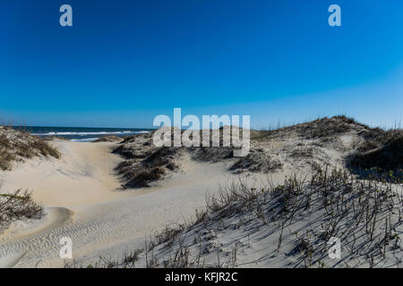 Dunes de sable de la banques de Caroline du Nord. Banque D'Images