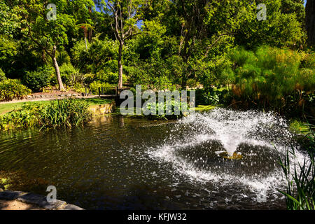 Dispositif de l'eau dans le lac Supérieur dans les jardins Fitzroy à Melbourne, Victoria, Australie Banque D'Images