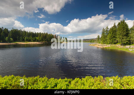 Oderteich, réservoir historique près de Sankt Andreasberg dans le haut parc national de Harz, Basse-Saxe, Allemagne Banque D'Images