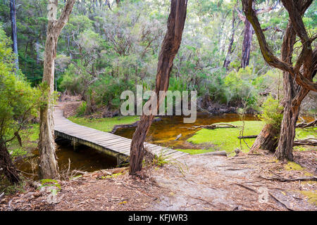 Passerelle en bois au-dessus du ruisseau jusqu'au camping refuge Cove, parc national Wilsons Promontory, Australie Banque D'Images