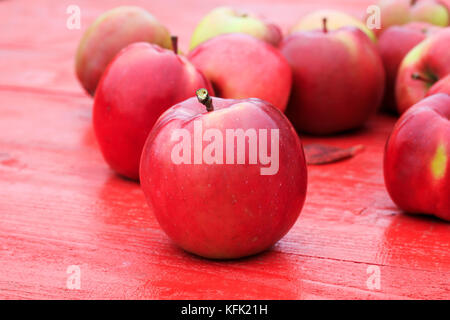 Lot de pommes rouges bien mûrs se coucher sur une table de bois sur les feuilles d'érable colorées en jardin d'automne Banque D'Images