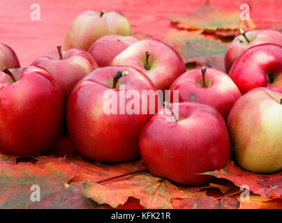Lot de pommes rouges bien mûrs se coucher sur une table de bois sur les feuilles d'érable colorées en jardin d'automne Banque D'Images