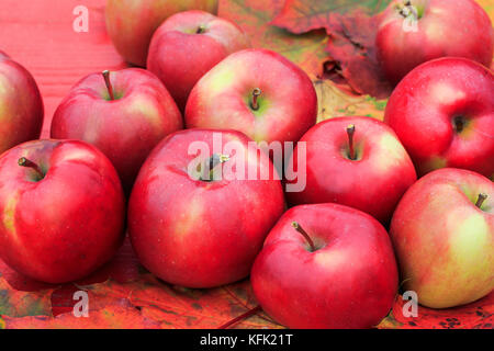 Lot de pommes rouges bien mûrs se coucher sur une table de bois sur les feuilles d'érable colorées en jardin d'automne Banque D'Images