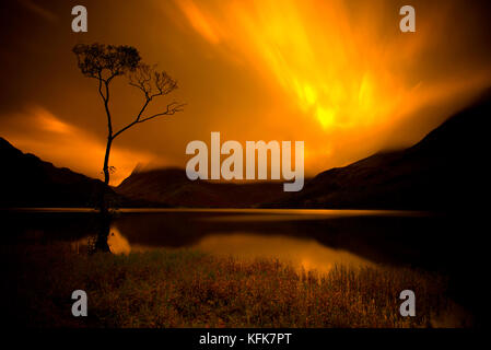 Un arbre isolé sur la hure, Cumbria, lake district. l'Angleterre. Banque D'Images