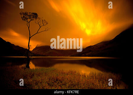 Un arbre isolé sur la hure, Cumbria, lake district. l'Angleterre. Banque D'Images