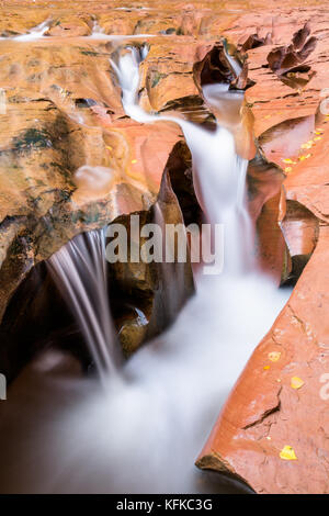 La rivière de coyote gulch coupe à travers le grès dans le fond du désert, canyon, la création de formes uniques d'une cascade d'eau Banque D'Images