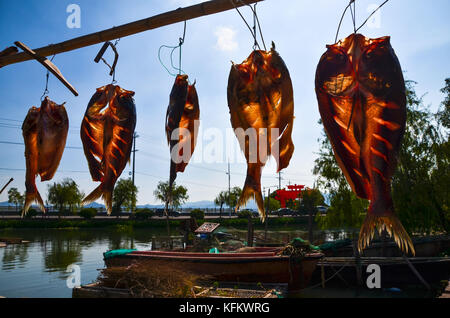 Shanghai, Ningbo, Chine. 30Th oct, 2017. NINGBO, CHINE-octobre 2017 :(usage éditorial seulement. la Chine).Le poisson salé et séché à l'air peut être vu suspendu à des poteaux à Ningbo, province de Zhejiang en Chine de l'Est. Credit : Asie sipa/zuma/Alamy fil live news Banque D'Images