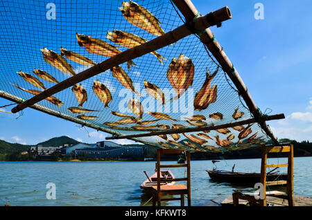 Ningbo, Ningbo, Chine. 30 octobre 2017. Ningbo, CHINE-octobre 2017 : (USAGE ÉDITORIAL UNIQUEMENT. CHINE SORTIE). Du poisson salé séché à l'air peut être vu accroché sur des poteaux à Ningbo, dans la province du Zhejiang de l'est de la Chine. Crédit : Sipa Asia/ZUMA Wire/Alamy Live News Banque D'Images