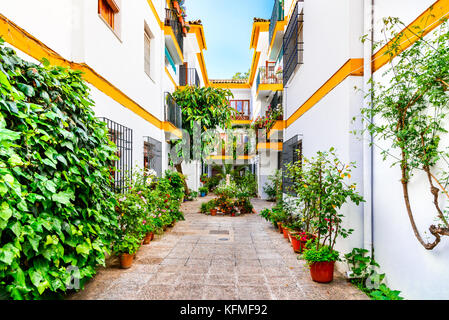 Cordoue, Espagne. Quartier traditionnel blanchi à la chaux avec chambre et patio (jardins). L'Andalousie. Banque D'Images