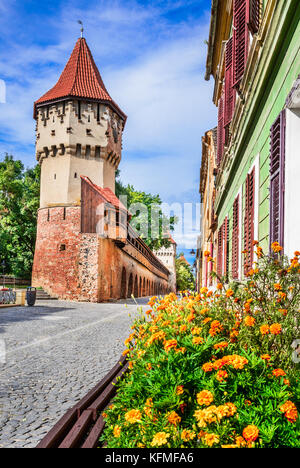 Sibiu, Roumanie - le centre-ville médiéval de la plus grande ville de saxon en Transylvanie. Tour des charpentiers. Banque D'Images