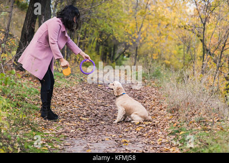 Asian girl jouant avec son chien dans le parc. Banque D'Images