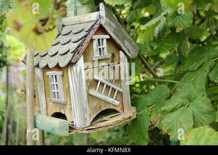 Un hôtel en remettant un fruit sur un allotissement bush anglais jardin en été ,UK Banque D'Images