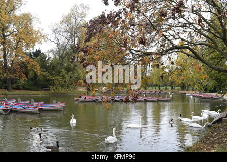 Photographie de rue au Bois de Vincennes Paris, France Banque D'Images