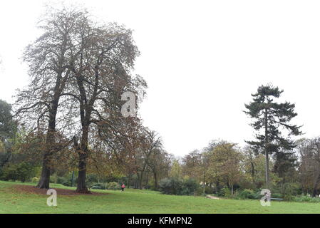 Photographie de rue au Bois de Vincennes Paris, France Banque D'Images