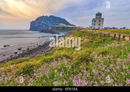 Lever du soleil à Jeju do seongsan ilchulbong, l'île de Jeju, Corée du Sud Banque D'Images