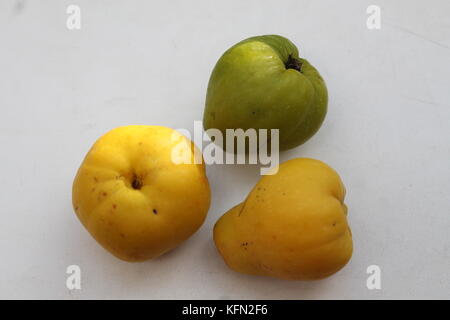 Fruits coing colorés appétissant avec des graines à l'intérieur pour gâteau de thé de fines herbes Banque D'Images