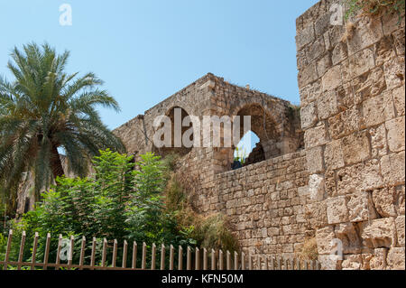 Byblos est une ville méditerranéenne dans le mont Liban.byblos est situé à environ 42 kilomètres à 26 km au nord de Beyrouth. Banque D'Images