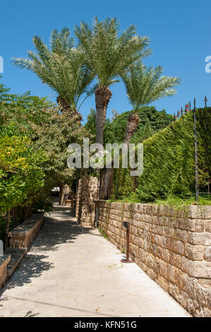 Byblos est une ville méditerranéenne dans le mont Liban.byblos est situé à environ 42 kilomètres à 26 km au nord de Beyrouth. Banque D'Images