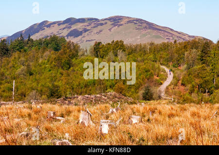 Vue sur colline conique de la West Highland Way sentier près de la ville de Balmaha, Ecosse Banque D'Images